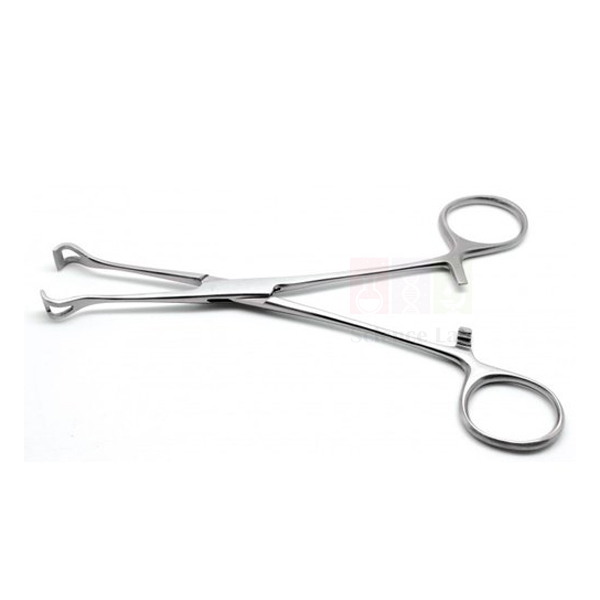 Babcock Tissue Forceps